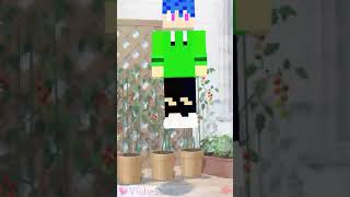 test Minecraft [upl. by Saimerej]