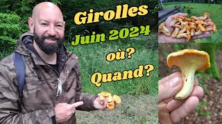 Où trouver des Girolles [upl. by Anaugal]