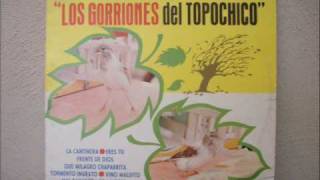 Los Gorriones del Topochico Tormento ingrato [upl. by Eimile]