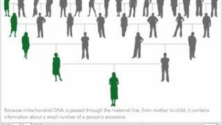 Mitochondrial DNA [upl. by Tufts]