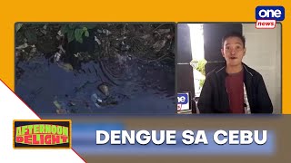 Afternoon Delight  Cebu City urged to declare public health emergency due to dengue [upl. by Jaeger28]