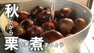 簡単！超シンプルな栗の煮方 Simple Chestnut Cooking for Beginners [upl. by Alon1]