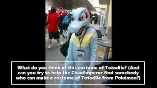 What Do You Think Of This Totodile Costume From Pokemon Gold and Silver [upl. by Aveneg]