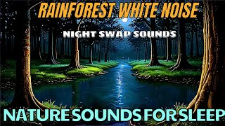 Relaxing Nature Sounds Rainforest White Noise  Swamp Sounds at Night [upl. by Terzas]