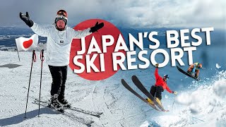 Why NISEKO is JAPANS best ski resort [upl. by Onafets598]