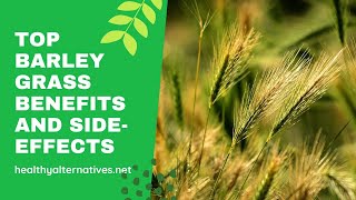 Top Barley Grass Benefits and Sideeffects [upl. by Atiluj]