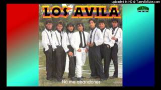 LOS AVILA GRANDES EXITOS CD ENTERO COMPLETO [upl. by Uriel]