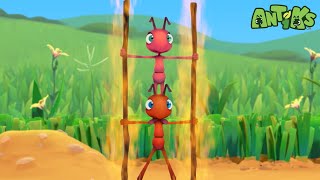 Fire Ants 🔥  ANTIKS  Funny Cartoons For All The Family [upl. by Mort868]