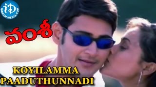 Koyilamma Paaduthunnadi Video Song  Vamsi Movie  Mahesh Babu Namrata Shirodkar  Mani Sharma [upl. by Iralam986]