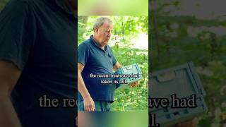 Clarksons farmHarvest wasabishorts series show tvshow clarkson [upl. by Notlad126]