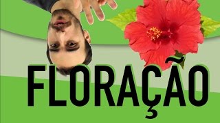 Botânica  Fotoperiodismo Floração [upl. by Eiahpets]