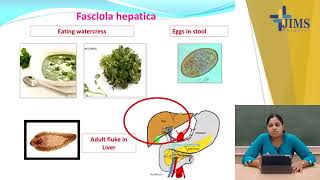 Topic  Trematodes  Part I [upl. by Tullusus]