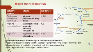 Urea cycle [upl. by Gahan]