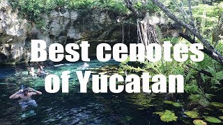 Best cenotes of Yucatan Mexico  Canon 80D  Virtual Trip [upl. by Sydelle]