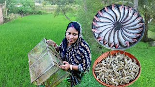 মাঠ থেকে চিংড়িমাছ ধরে কচুর লতি দিয়ে রান্না করলাম সাথে সরষে পাবদা রেসিপি  fish curry recipe [upl. by Dugas972]