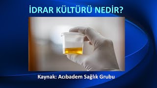 İDRAR KÜLTÜRÜ NEDİR NE İÇİN VE NASIL YAPILIR [upl. by Rosenbaum]