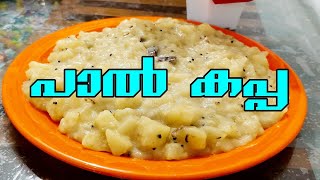 Paal Kappa Recipe Malayalam  പാൽ കപ്പ  paalkappa cooking [upl. by Riddle]