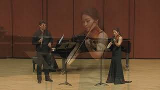 FDoppler duettino americain for flute violin op37 Vincent Lucas Jin Lee 2018 [upl. by Repsag481]