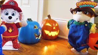 Paw Patrol Trick or Treat and Haunted House Halloween Videos for Kids [upl. by Watson330]