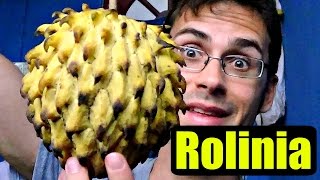 ROLLINIA REVIEW  An Incredible fruit with a Snotty Texture  Weird Fruit Explorer [upl. by Nosirb993]