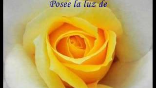 La Mujer  Un poema de DANIEL LEAL [upl. by Ynohtnaeoj848]