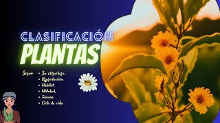 🌿Fascinante clasificación de las plantas 🌿 por su tamaño hábitatforma de reproducción utilidad [upl. by Analem]