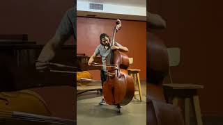 DDRAGONETTI Concerto in A major III mov for Double Bass [upl. by Ellerrehs]