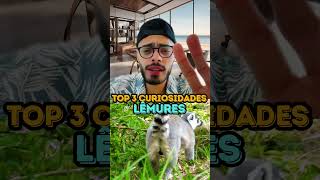 TUBARÃO BRANCO  TOP 3 CURIOSIDADES [upl. by Beitris912]