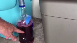 how to make organic natural homemade zinfandel wine 13 [upl. by Izak]