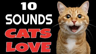 10 Sounds Cats Love To Hear The Most [upl. by Nalepka350]