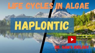 Diplontic Life Cycle  NEET Biology  NEET UG in 10 [upl. by Waligore]