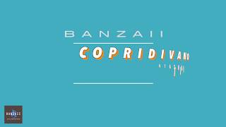 Copridivano ANTIMACCHIA Banzaii Shop [upl. by Humph879]