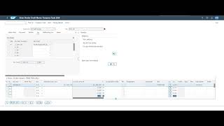 Vendor Credit Memo in SAP S4 HANA FB60 [upl. by Nur268]