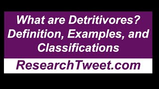 What are Detritivores Definition Examples and Classifications [upl. by Katrine]