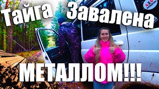 АФИГЕТЬТаёжное БОЛОТО ЗАПОЛНЕНО МЕТАЛЛОМТанюшка нашла громадную НАХОДКУЗаблудились НОЧЬЮ [upl. by Vaios]