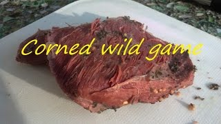 How to make a quotcorned beefquot from Venison or wild game or beef [upl. by Ylecara]