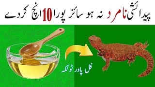 How to Use Sanda Oil  Sandy Ka Tel Ke Fayde  Sanda Oil Benefits  Sanda Oil Uses  Lizard Oil Uses [upl. by Ahsikram]