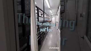 Goat Parlor and Milkhouse in Shipping Container [upl. by Noam]