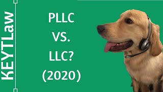 Arizona PLLC vs LLC Differences Explained 2024 [upl. by Aynod770]