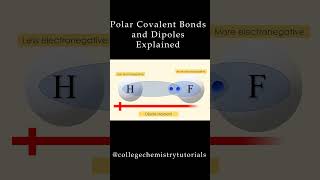 Polar Covalent Bonds Explained [upl. by Konstanze199]