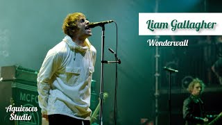 Liam Gallagher Wonderwall Live Knebworth 22 [upl. by Akkim]