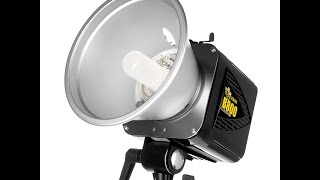 AlienBees B800 Flash Unit Review [upl. by Eidob579]