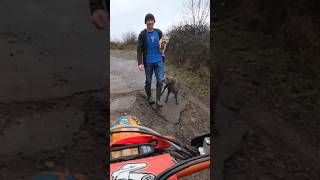 Nicest dog walker ever ❤️ dirtbike enduro dogs [upl. by Alleul]