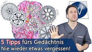 5 ärztliche Tipps für ein besseres Gedächtnis So steigern Sie dauerhaft Ihre Gehirnleistung [upl. by Zwart]