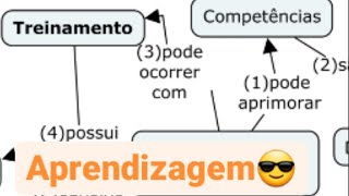 Aprendizagem Individual e aprendizagem Organizacional [upl. by Akelam]