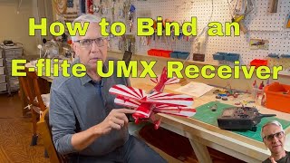 How to Bind an Eflite UMX Receiver [upl. by Xuerd]