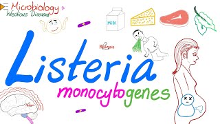 Listeria monocytogenes Characteristics  Microbiology 🧫 amp Infectious Diseases [upl. by Mihcaoj]