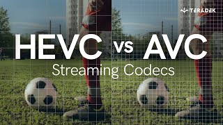 HEVC vs AVC Which codec is right for you [upl. by Akcirret448]