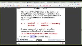 BLAST 1  بالعربي Bioinformatics [upl. by Ynetsed]