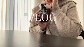 〔 主婦vlog 〕スタバ新作💝 1月コストコ購入品  平日二日間 [upl. by Anyr]